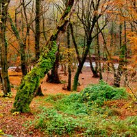 همه چیز درباره سفر به شهرهای کشور ایران