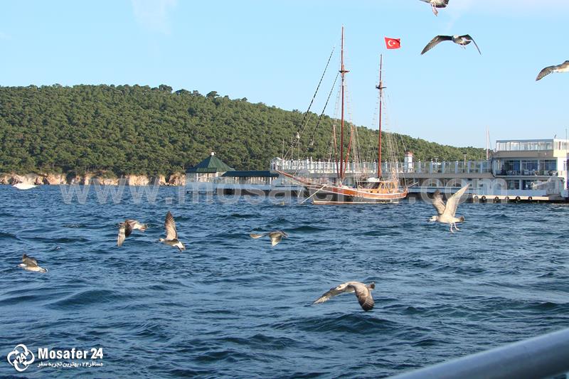 مسافر24, ترکیه, استانبول, شهر استانبول ترکیه Istanbul City of Turkey (41)