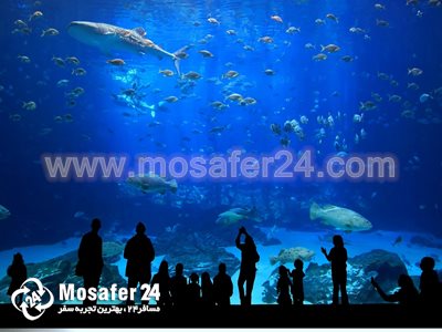 آکواریم استانبول