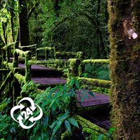 همه چیز درباره سفر به شهرهای کشور تایلند