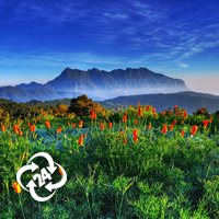 همه چیز درباره سفر به شهرهای کشور تایلند