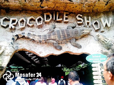 مزرعه تمساح