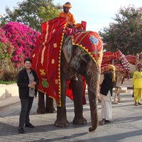 همه چیز درباره سفر به شهرهای کشور هندوستان