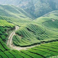 همه چیز درباره سفر به شهرهای کشور مالزی