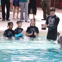 همه چیز درباره سفر به شهرهای کشور سنگاپور