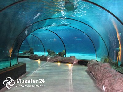 باغ وحش روتردام